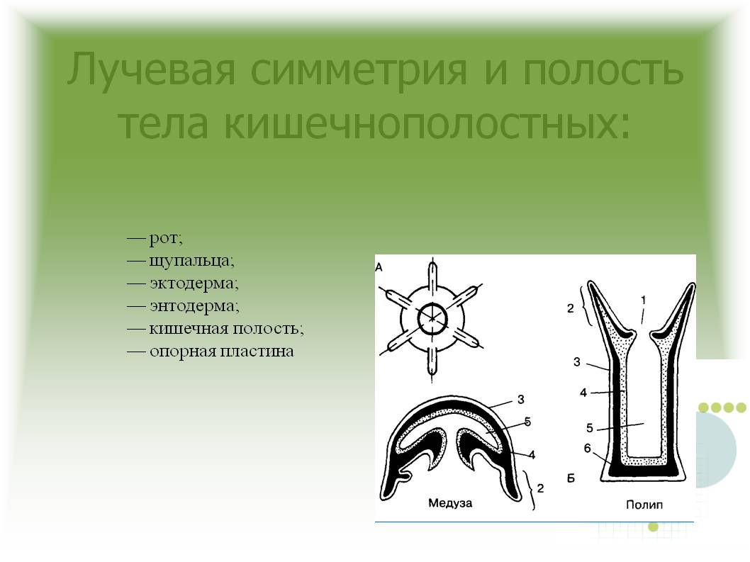 Кракен сайт kraken014 com